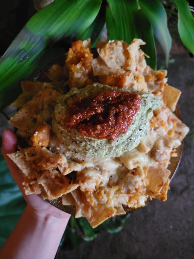 Nachos w/ Calabaza Squash Rice & Avocado