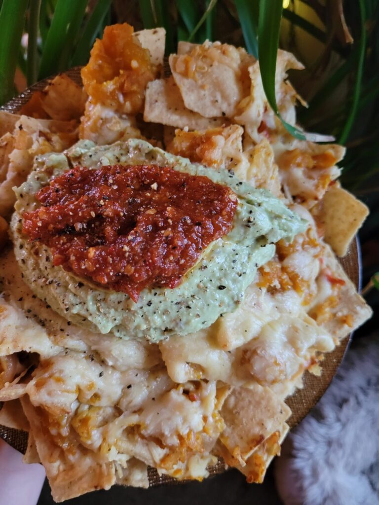 Nachos w/ Calabaza Squash Rice & Avocado