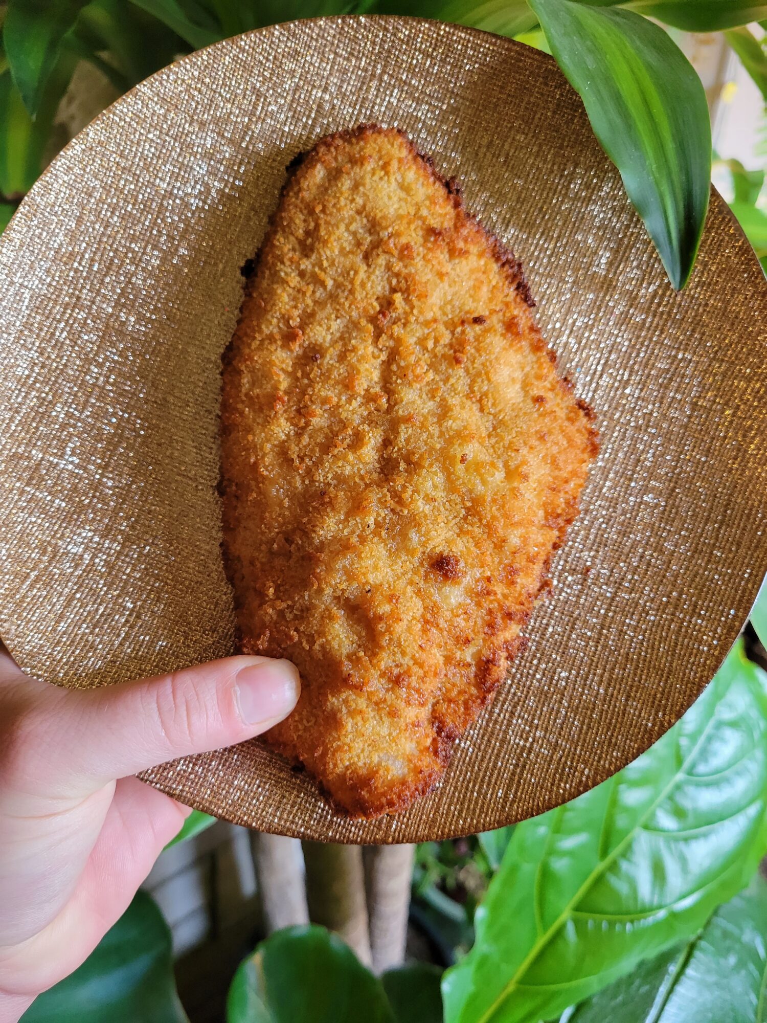 Air Fryer Catfish Fry