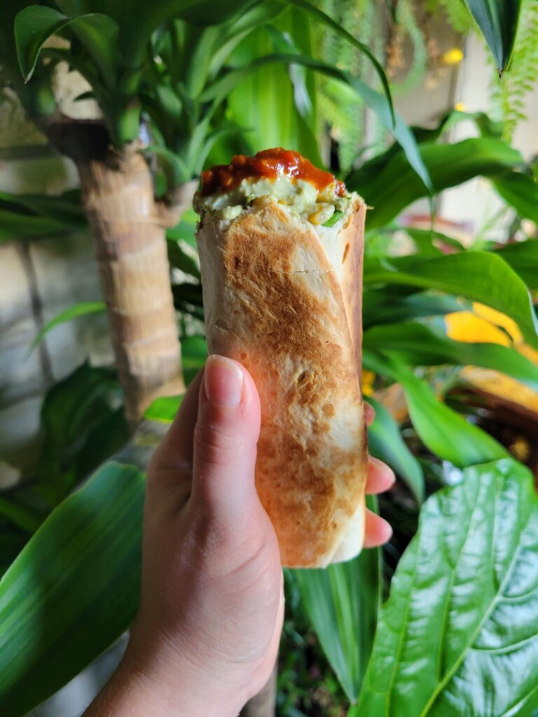 Burrito w/ Calabaza Squash Rice & Avocado Dip