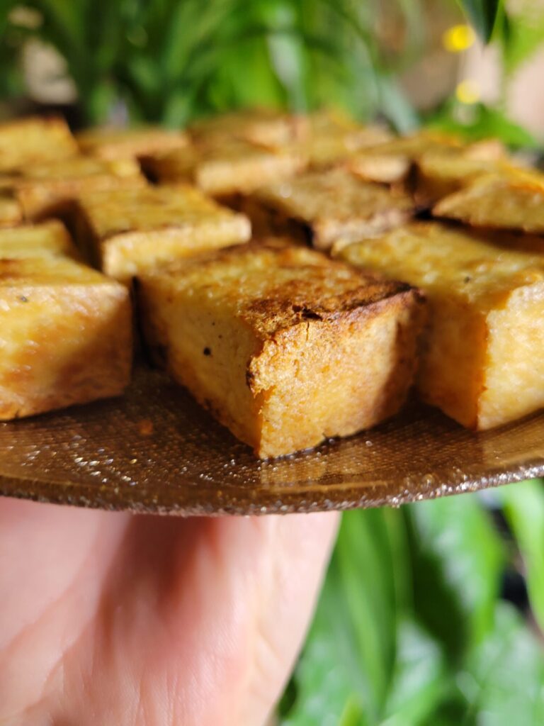 The Fundamentals of Fried Tofu