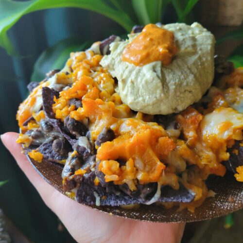 Nachos w/ Calabaza Black Beans & Brown Rice