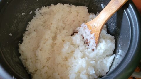 Rice Cooker Sushi Rice - Catfish Out of Water