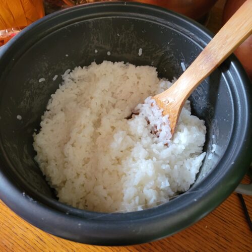 Rice Cooker Sushi Rice - Catfish Out of Water