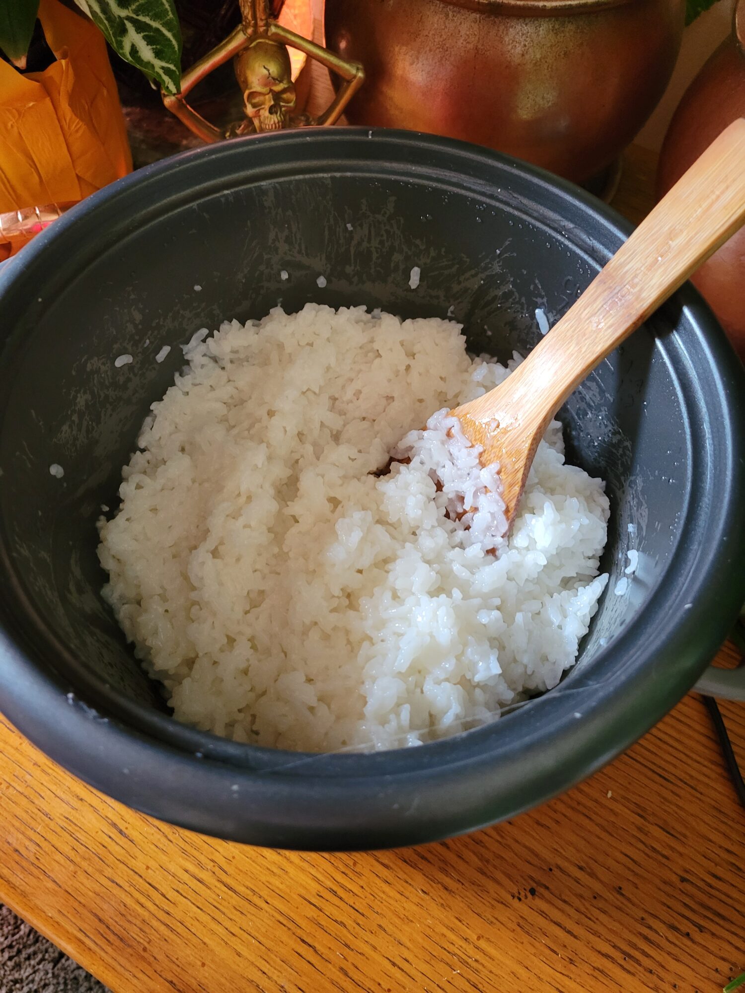 Rice Cooker Rice - Catfish Out of Water
