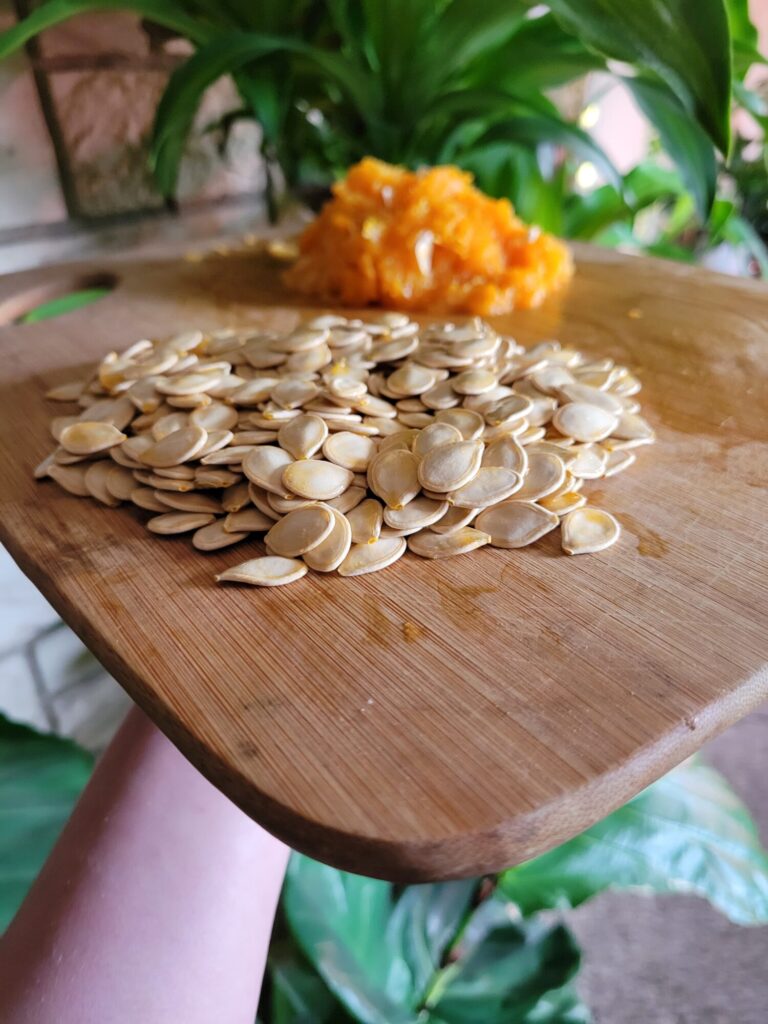The Fundamentals of Roasted Pumpkin Seeds