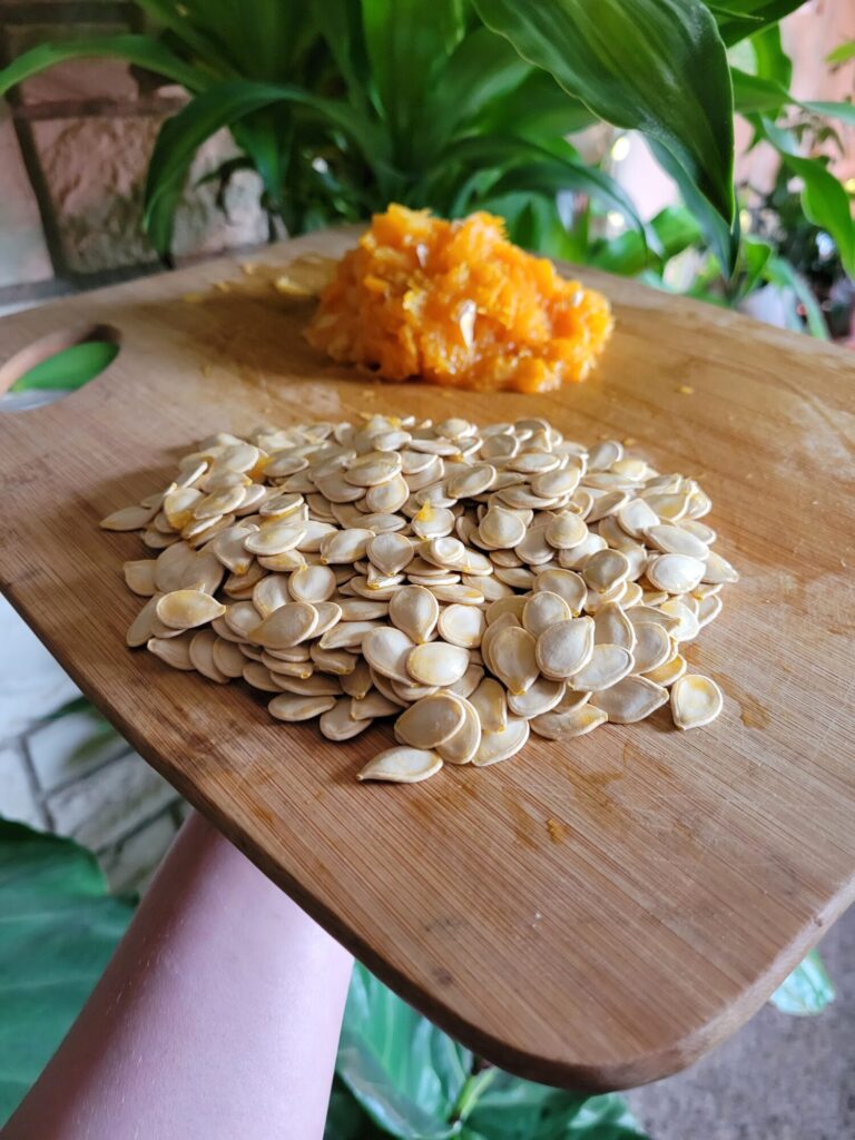 The Fundamentals of Roasted Pumpkin Seeds