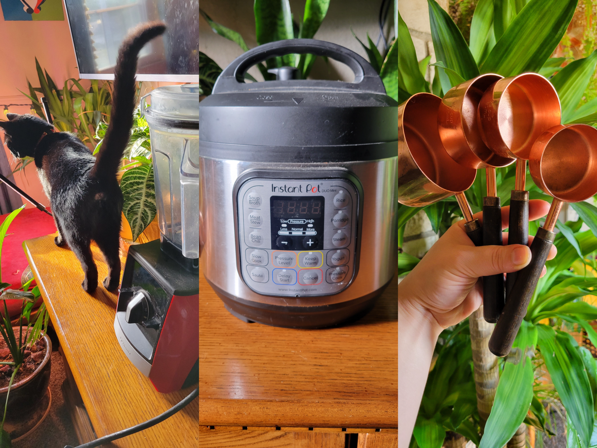 Top 5 Overrated Kitchen Gadgets NOT Worth Buying - Catfish Out of