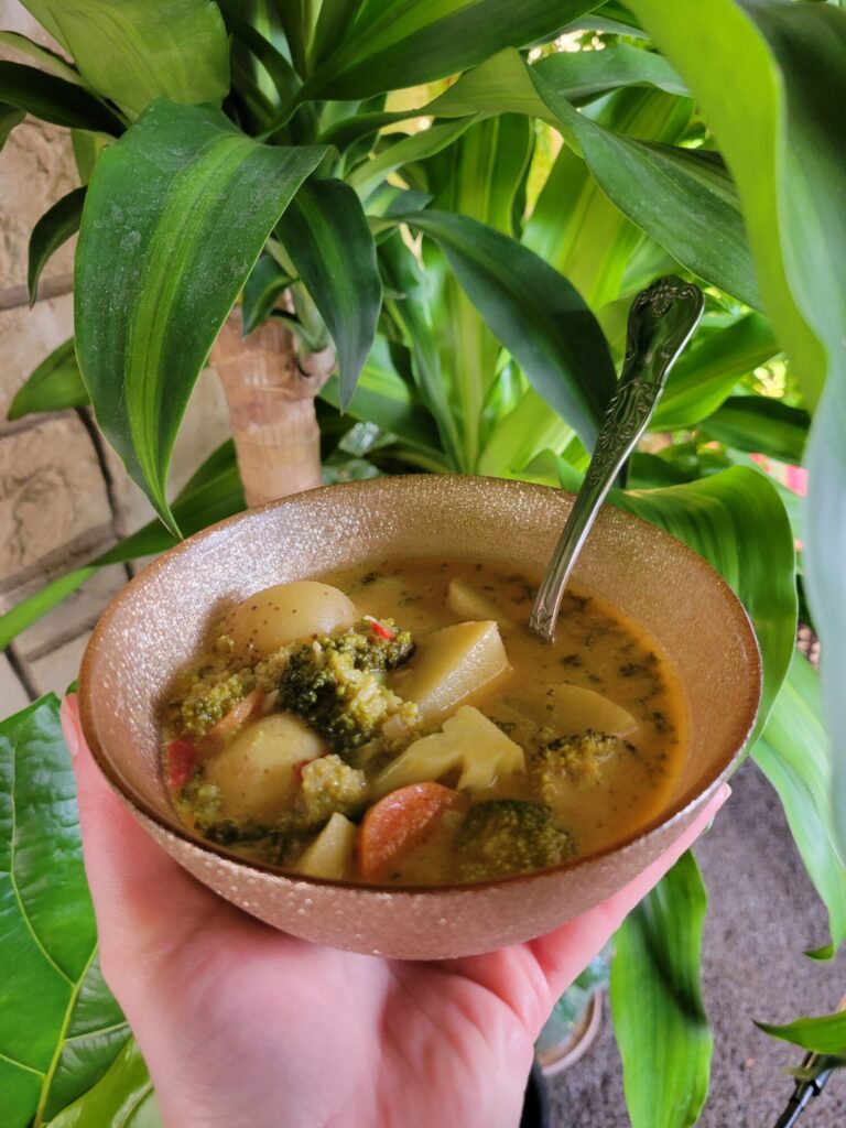 Curry w/ Thai Chilis, Broccoli, Squash, & Guinness