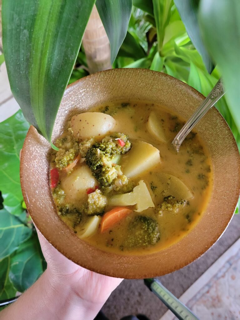 Curry w/ Thai Chilis, Broccoli, Squash, & Guinness