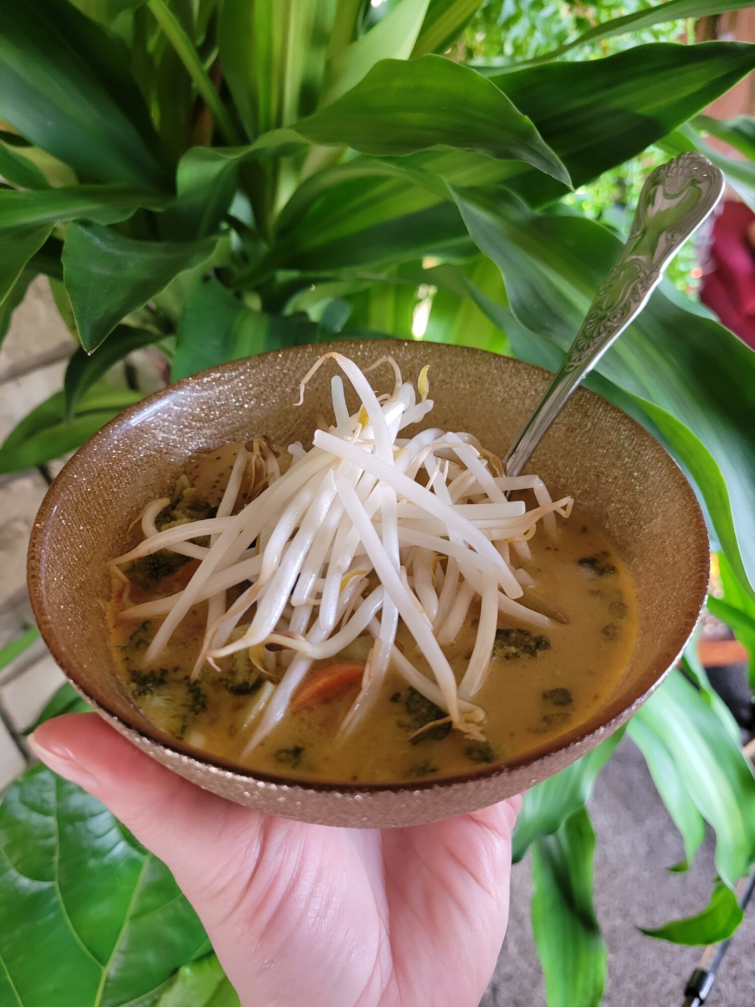 Curry w/ Thai Chilis, Broccoli, Squash, & Guinness