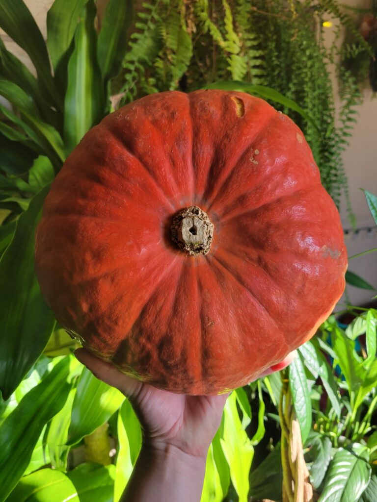 Roasted Ambercup Squash