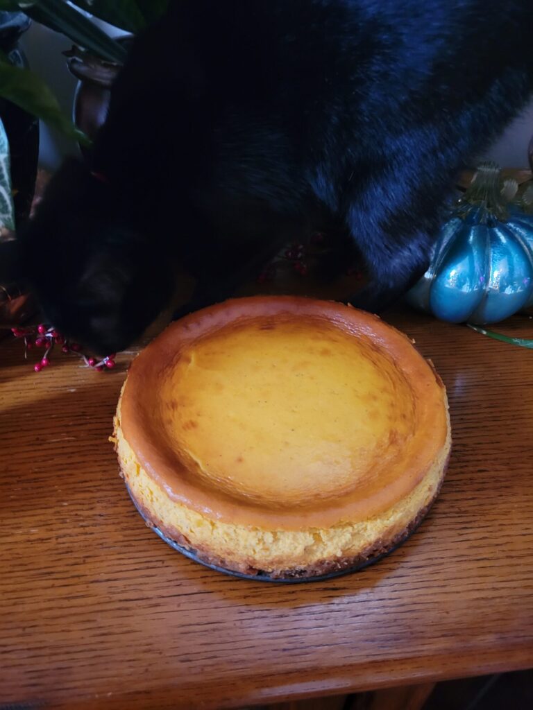 New York Cheesecake w/ Ambercup Squash