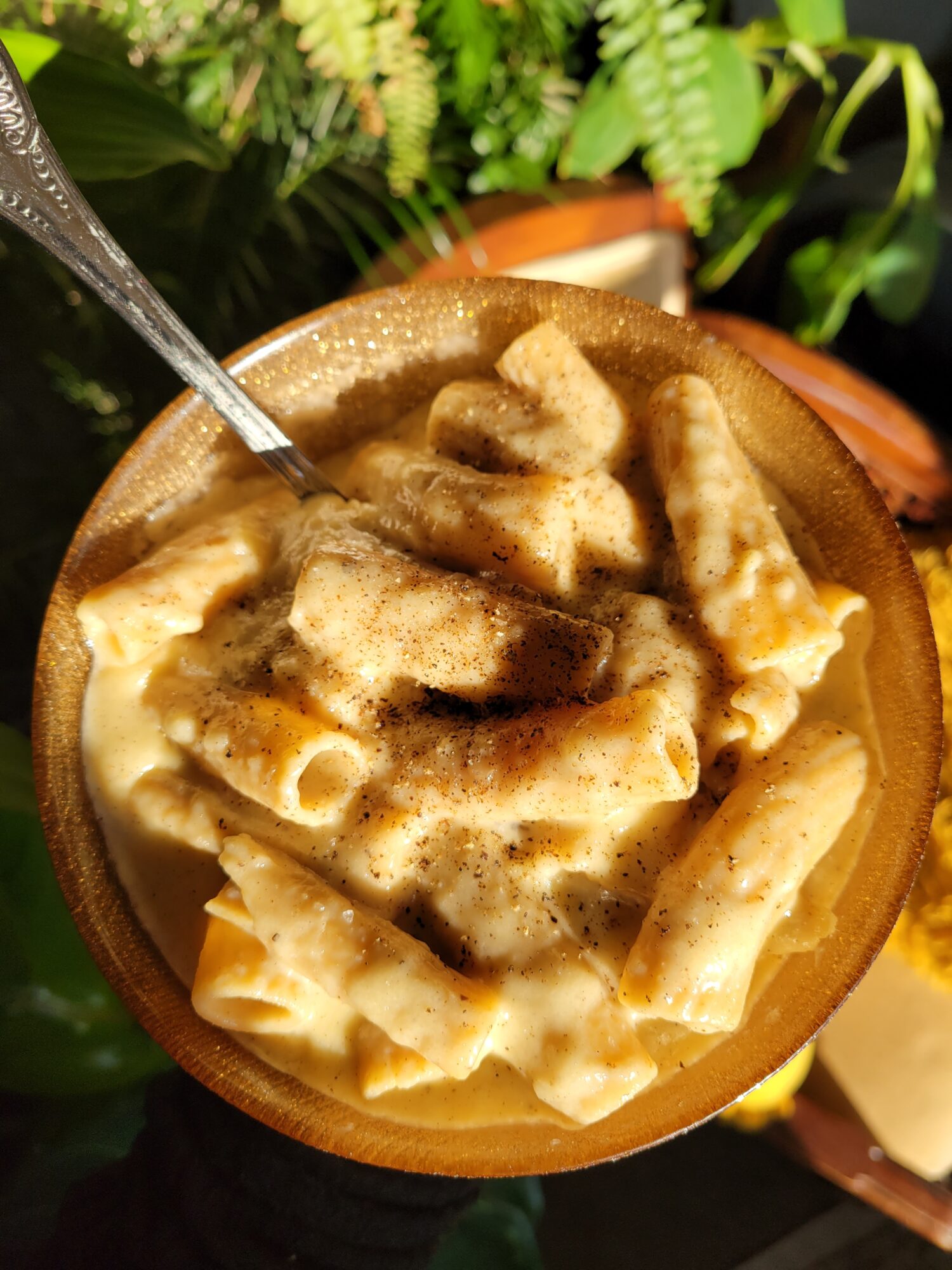 Pasta w/ Jarlsberg Cheese & White Wine