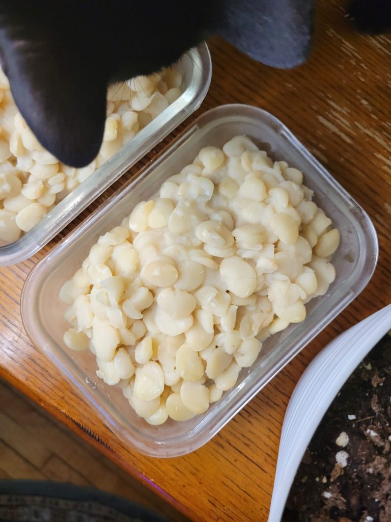 The Fundamentals of Quick Soak Stovetop White Beans, Esmérelda