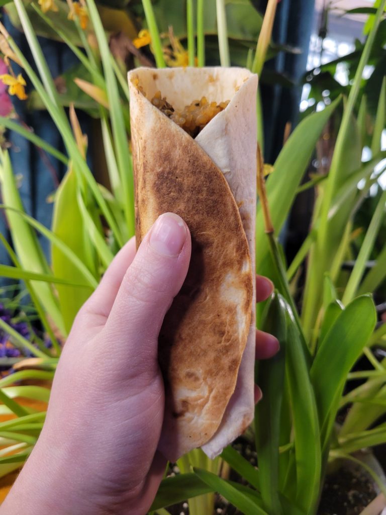 Burrito w/ Multicolored Potato Curry & Sprouts