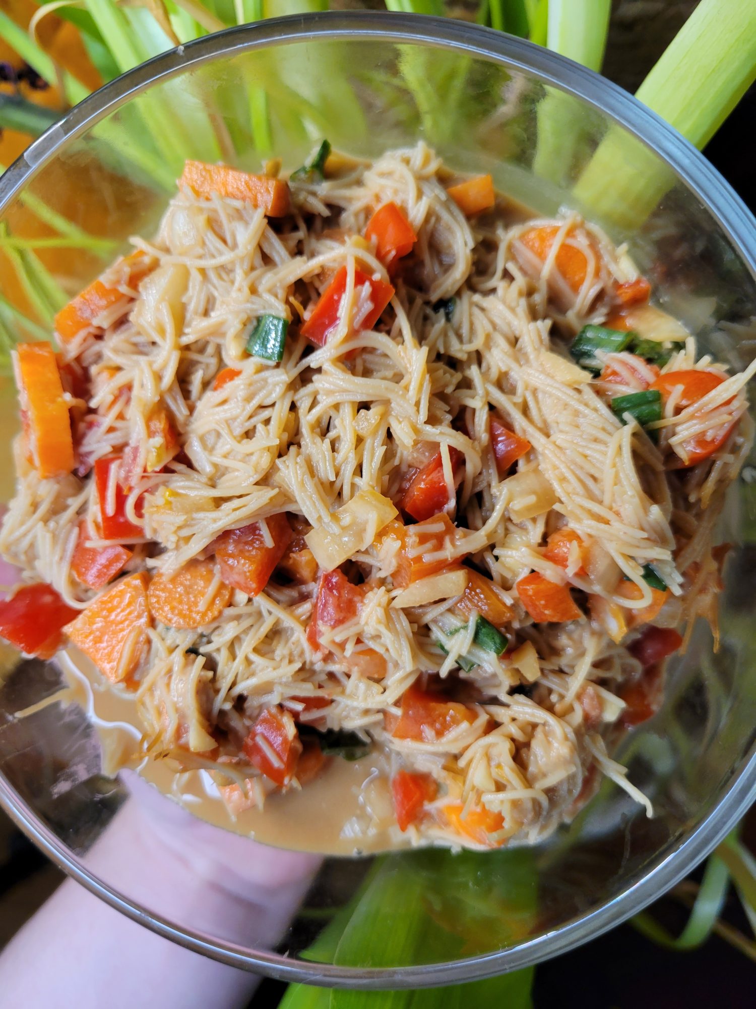 Vermicelli Salad w/ Carrots, Bell Peppers, & Scallions