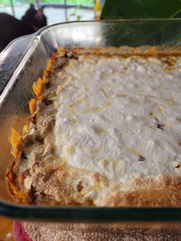 Bean Dip w/ Fresh Mozzarella, Quinoa, Black Beans, & Corn