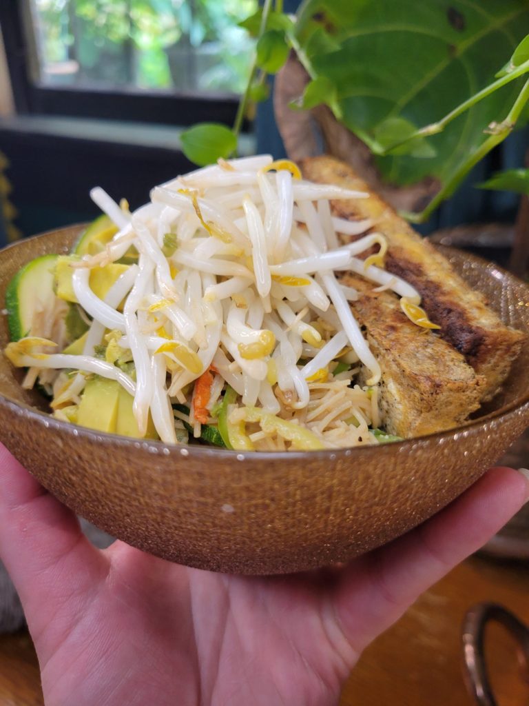 Vermicelli Salad w/ Tofu, Zucchini, Peppers, & Sprouts