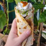 Burrito w/ Vermicelli, Squash, Avocado, & Sprouts