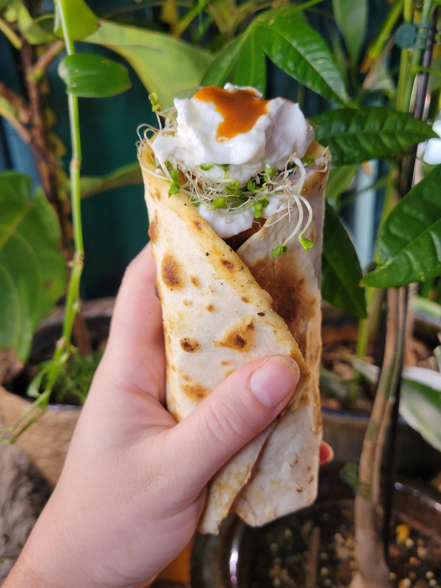 Burrito w/ Vermicelli, Squash, Avocado, & Sprouts