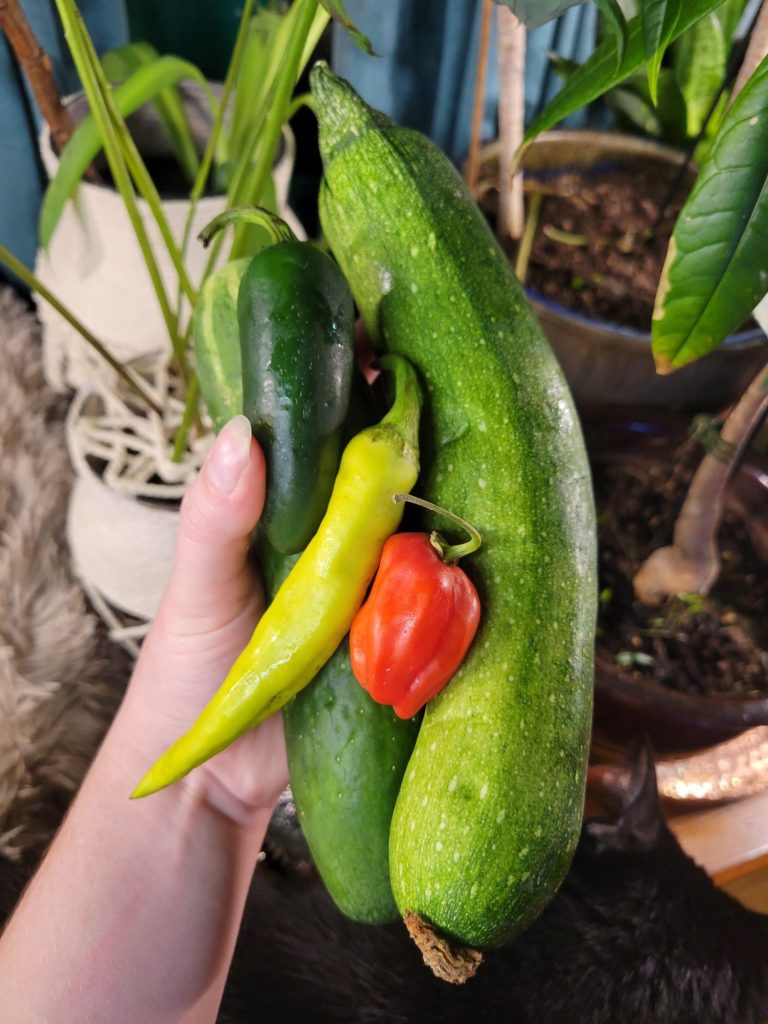 Vermicelli Salad w/ Cucumber, Zucchini, & Garden Peppers, Produce
