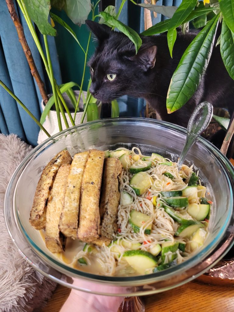 Vermicelli Salad w/ Cucumber, Zucchini, & Garden Peppers, Esmérelda