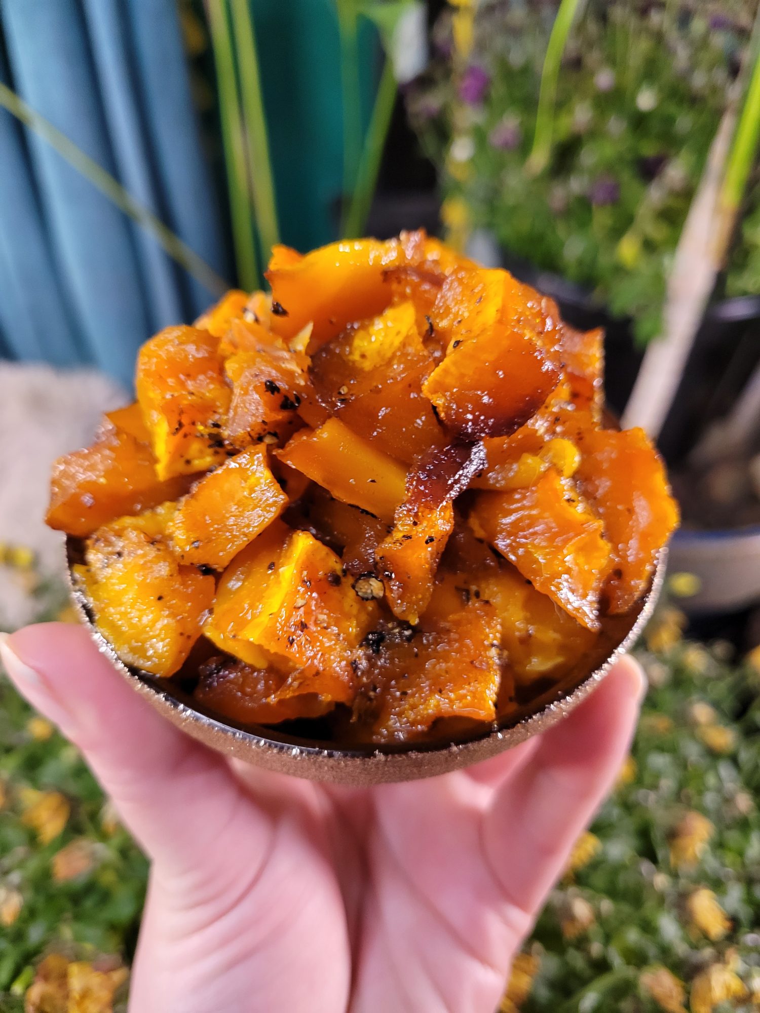 Roasted Red Hubbard Squash Cubes