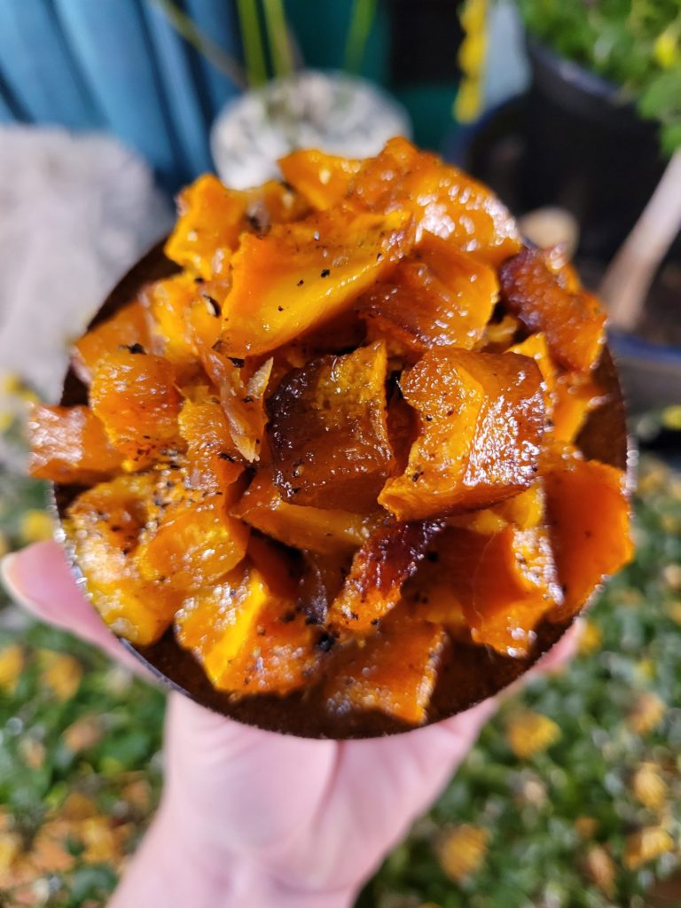 Roasted Red Hubbard Squash Cubes