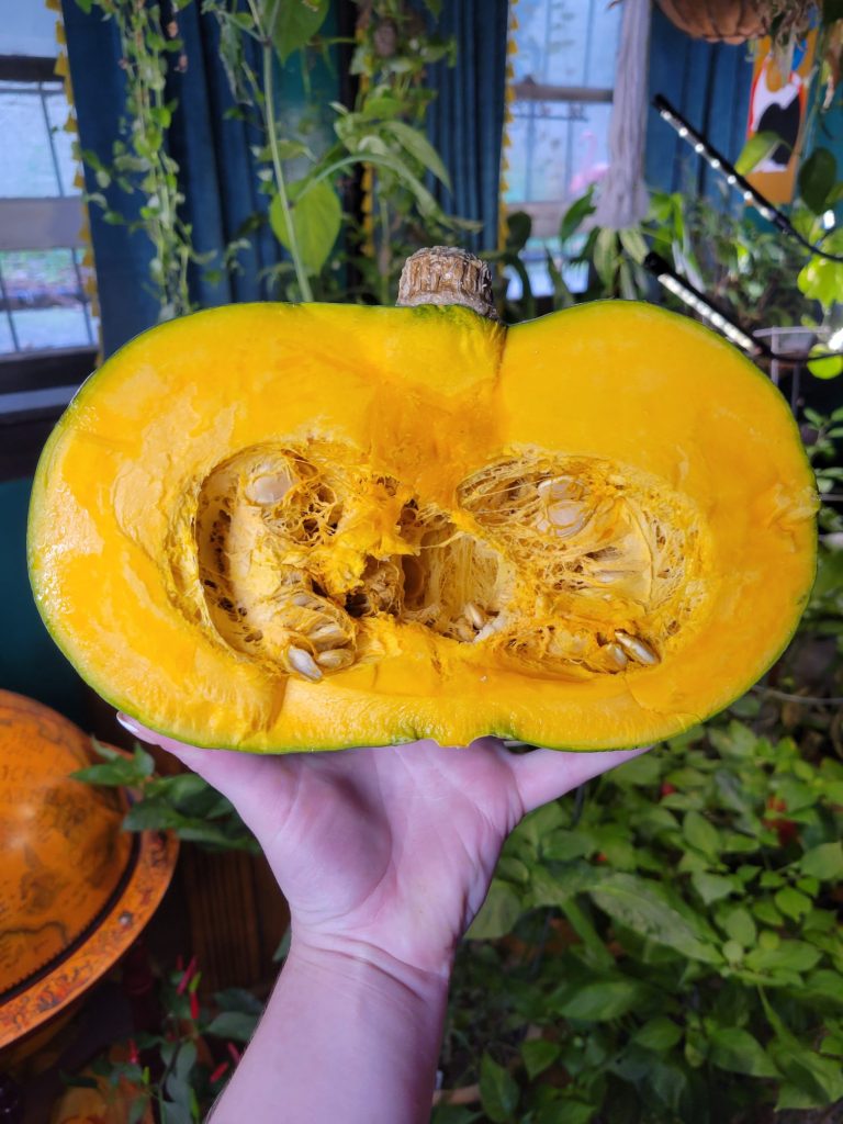 Roasted Kabocha Squash