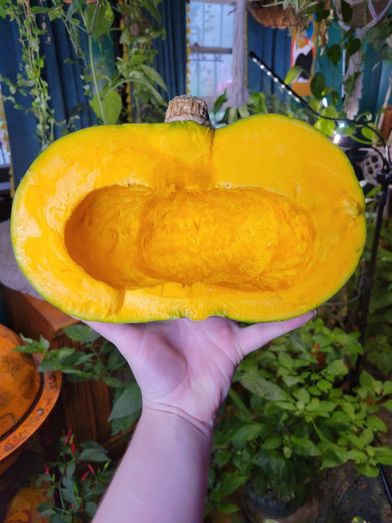 Roasted Kabocha Squash