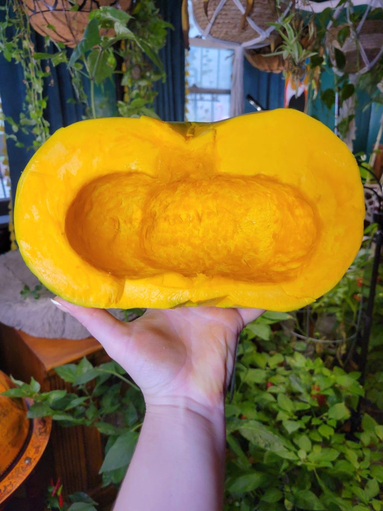 Roasted Kabocha Squash