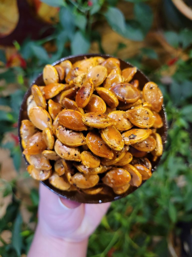 Roasted Kabocha Squash Seeds