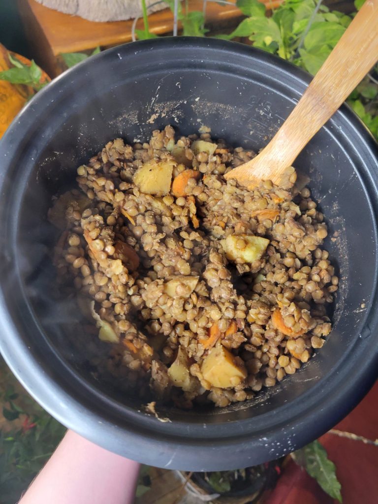 Lentils w/ Kabocha Squash, Potatoes, Ginger, & Tamari