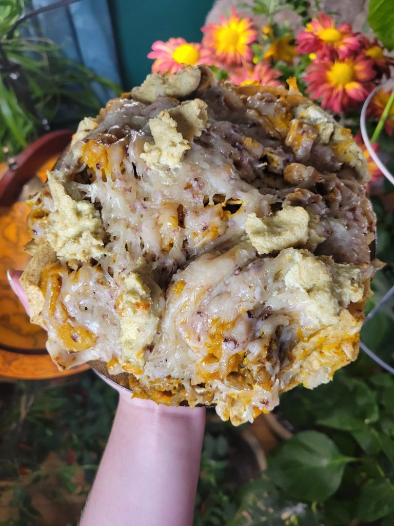 Nachos w/ Ginger Lentils, Kabocha Squash, & Cashews