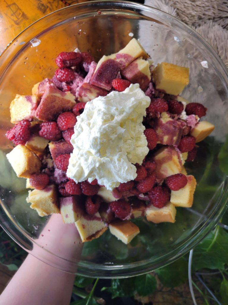 Trifle w/ Raspberries, Red Zinfandel, & Whipped Cream
