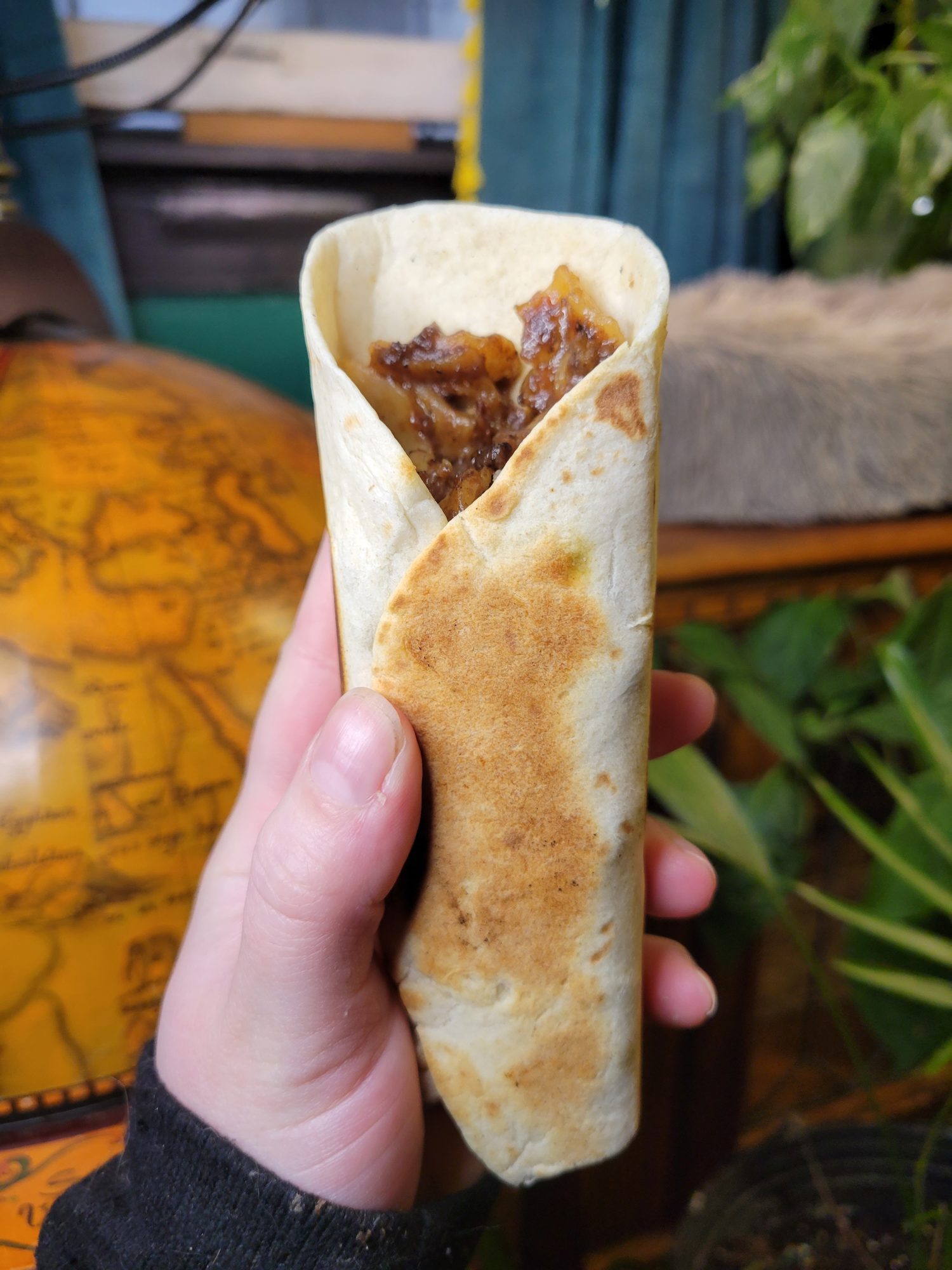 Burrito w/ Venison Goulash, Brick Cheese, & Red Wine