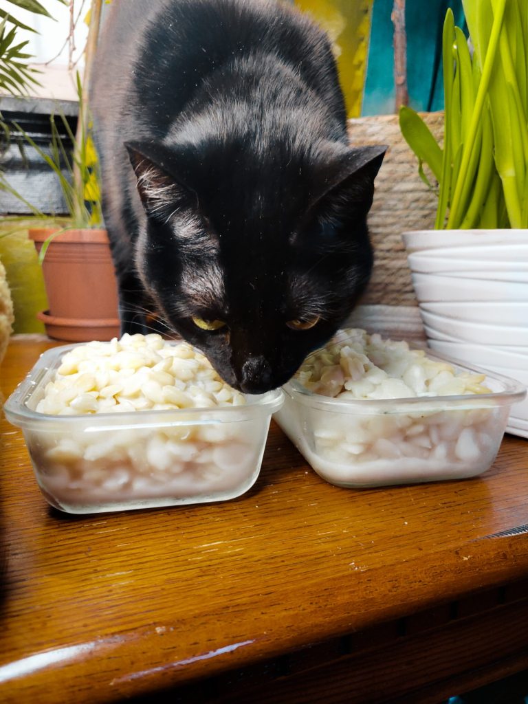 Quick Soak Lima Beans, Esméralda