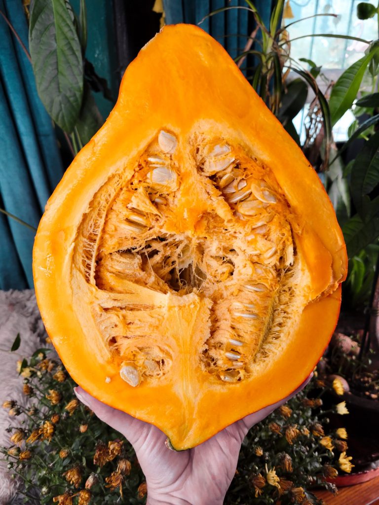 Roasted Red Hubbard Squash