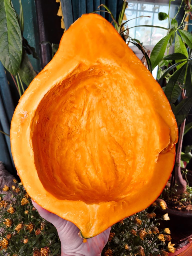 Roasted Red Hubbard Squash