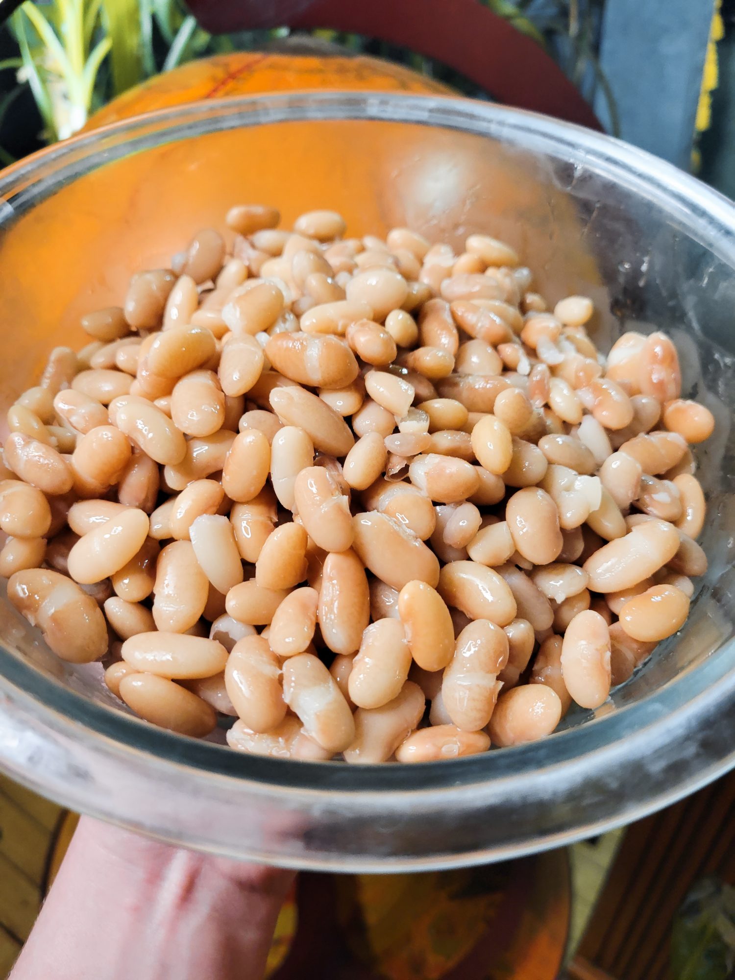 Quick Soak Mayocoba Beans Catfish Out