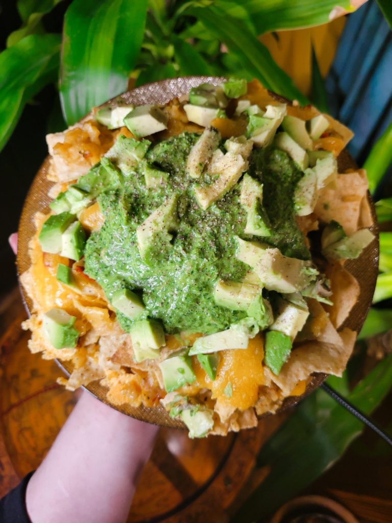 Nachos w/ Rice, Spinach Dip, & Avocados