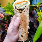 Burrito w/ Wild Rice & Dill Avocado Dip
