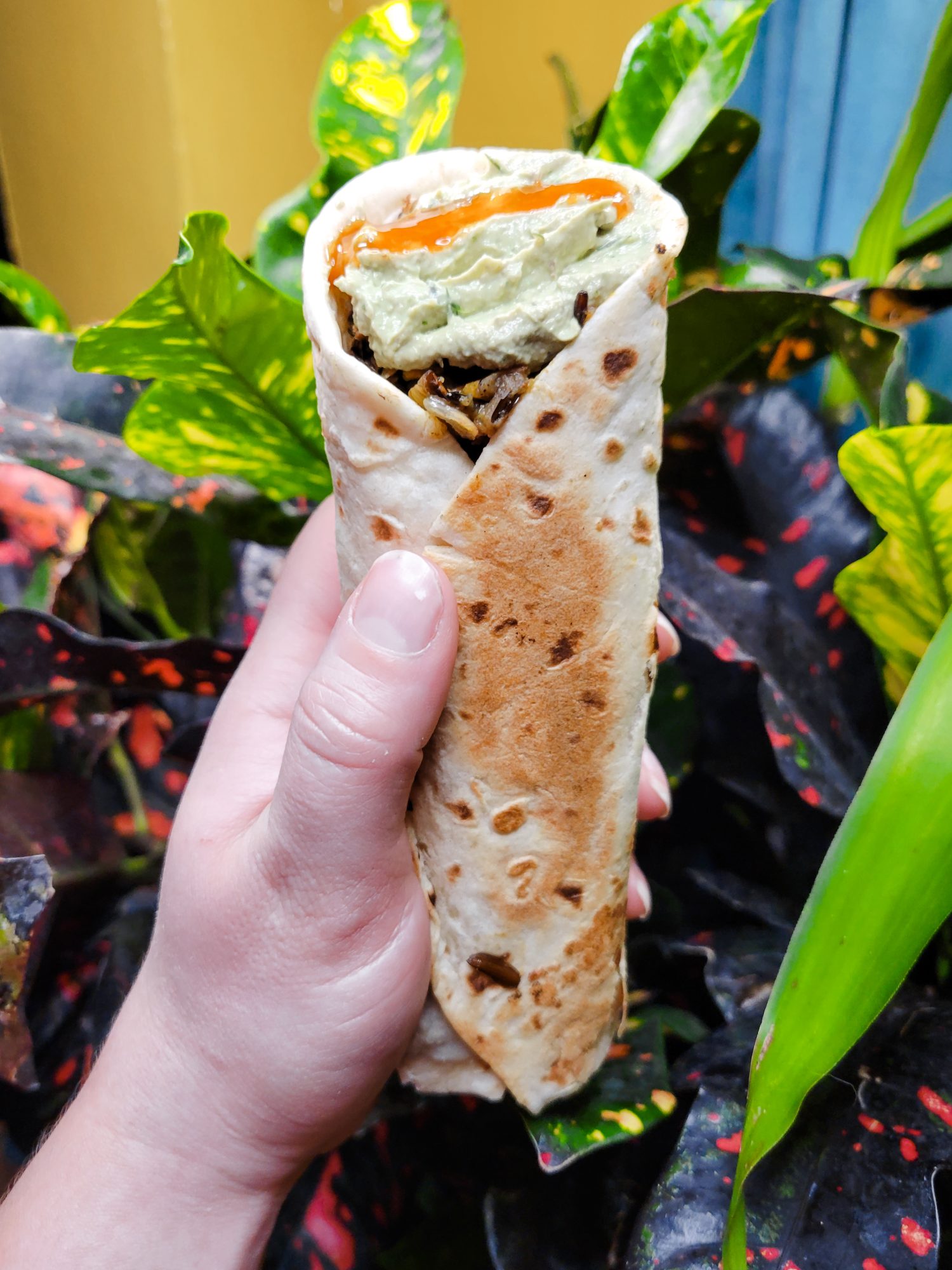 Burrito w/ Wild Rice & Dill Avocado Dip