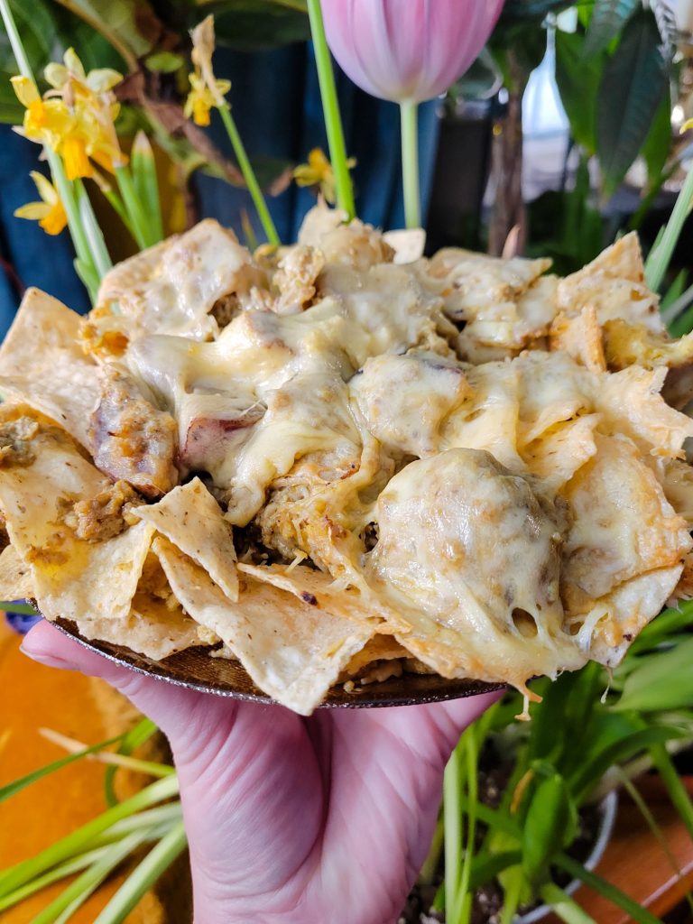 Nachos w/ Multicolored Potato Curry & Sprouts