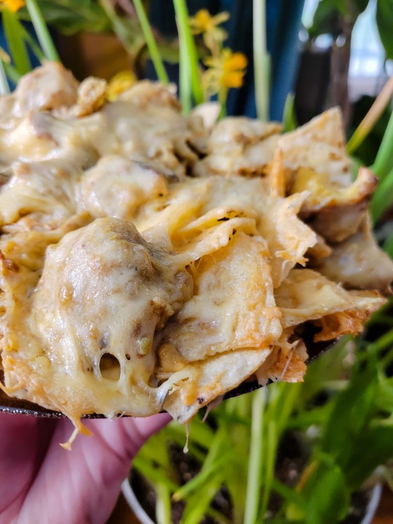 Nachos w/ Multicolored Potato Curry & Sprouts