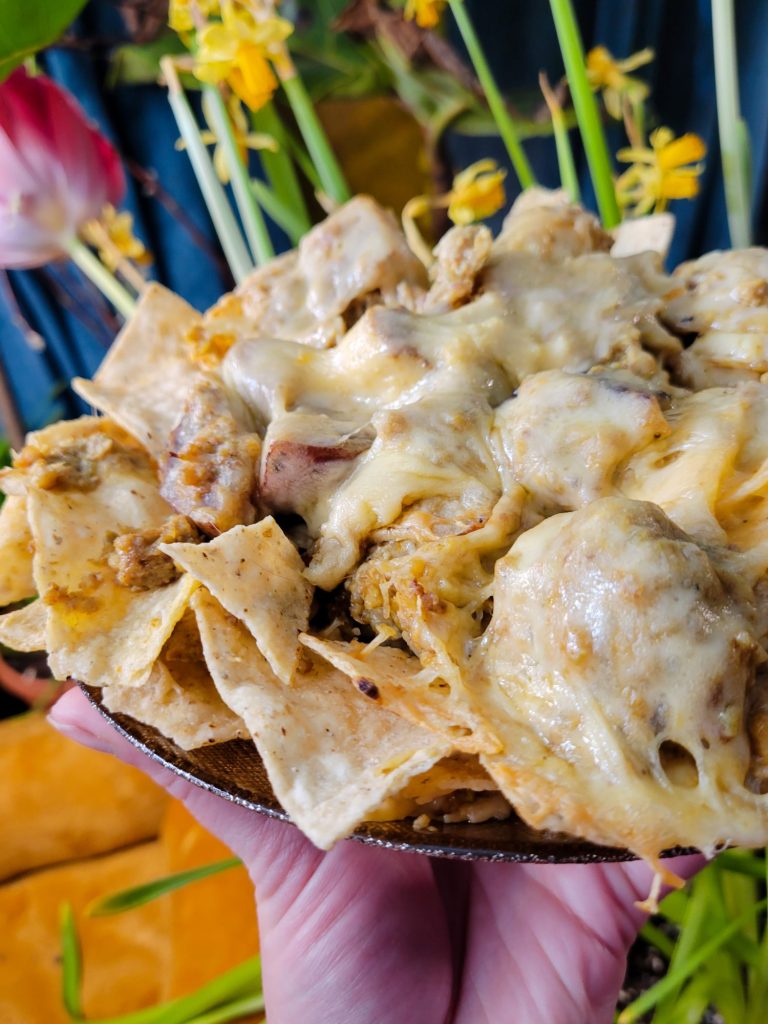 Nachos w/ Multicolored Potato Curry & Sprouts