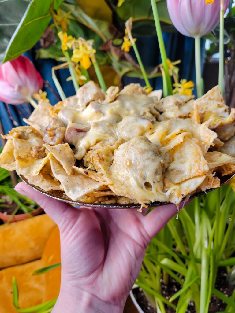 Nachos w/ Multicolored Potato Curry & Sprouts