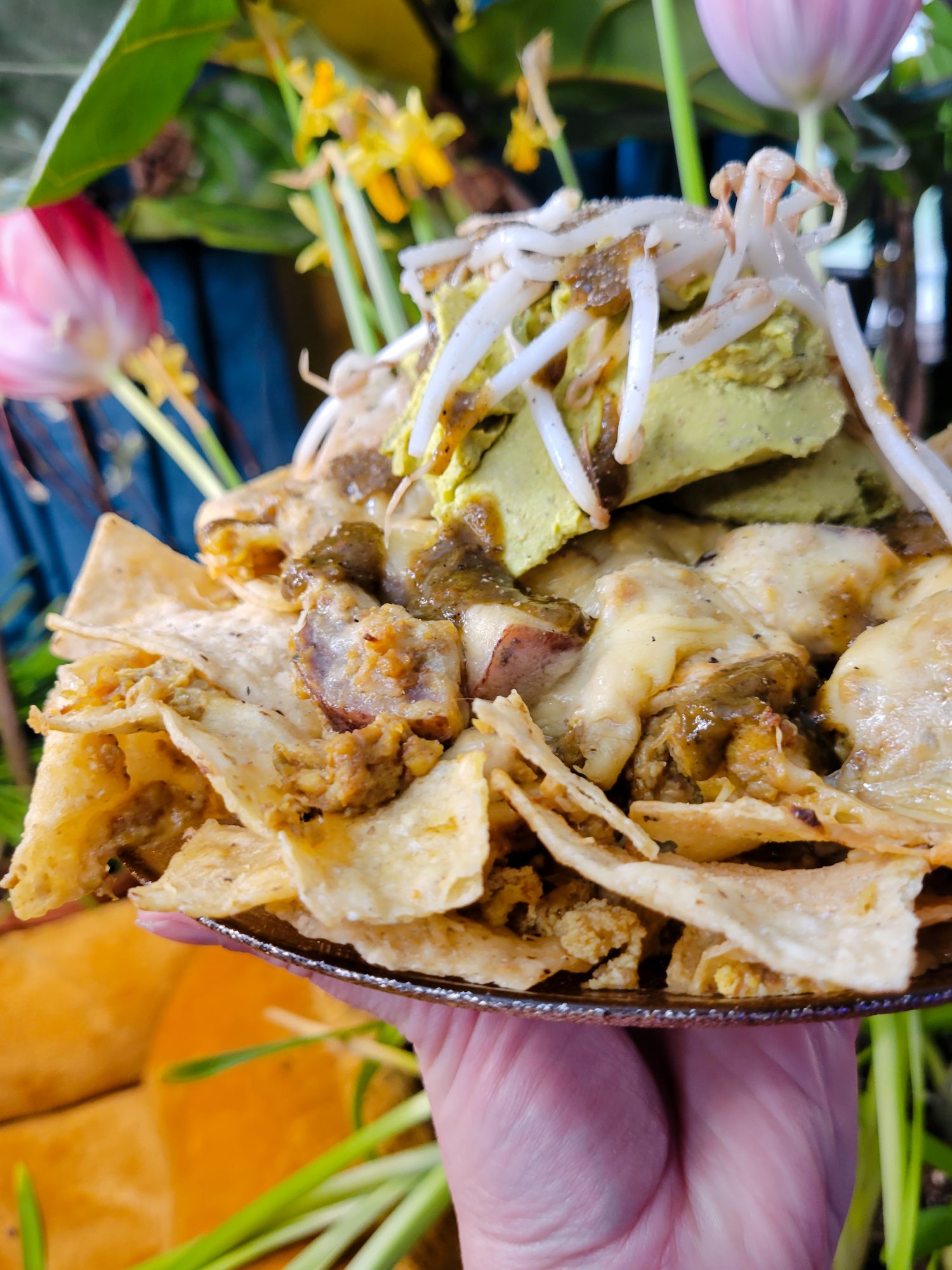 Nachos w/ Multicolored Potato Curry & Sprouts