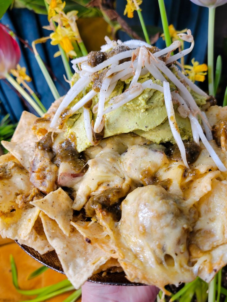 Nachos w/ Multicolored Potato Curry & Sprouts